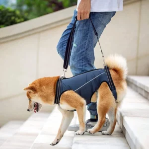 Life-Changing Dog Lift Harness Pet Collars, Harnesses & Leashes YourCatBackpack