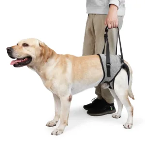 Dog Lift Harness for Senior & Disabled Dogs Best Sellers YourCatBackpack